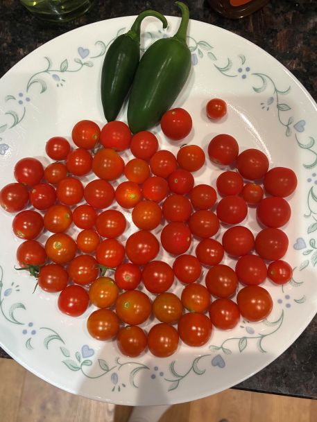 cherry maters willow.jpg